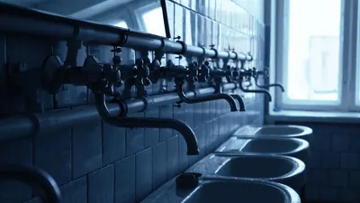 Дело мёртвых курсантов